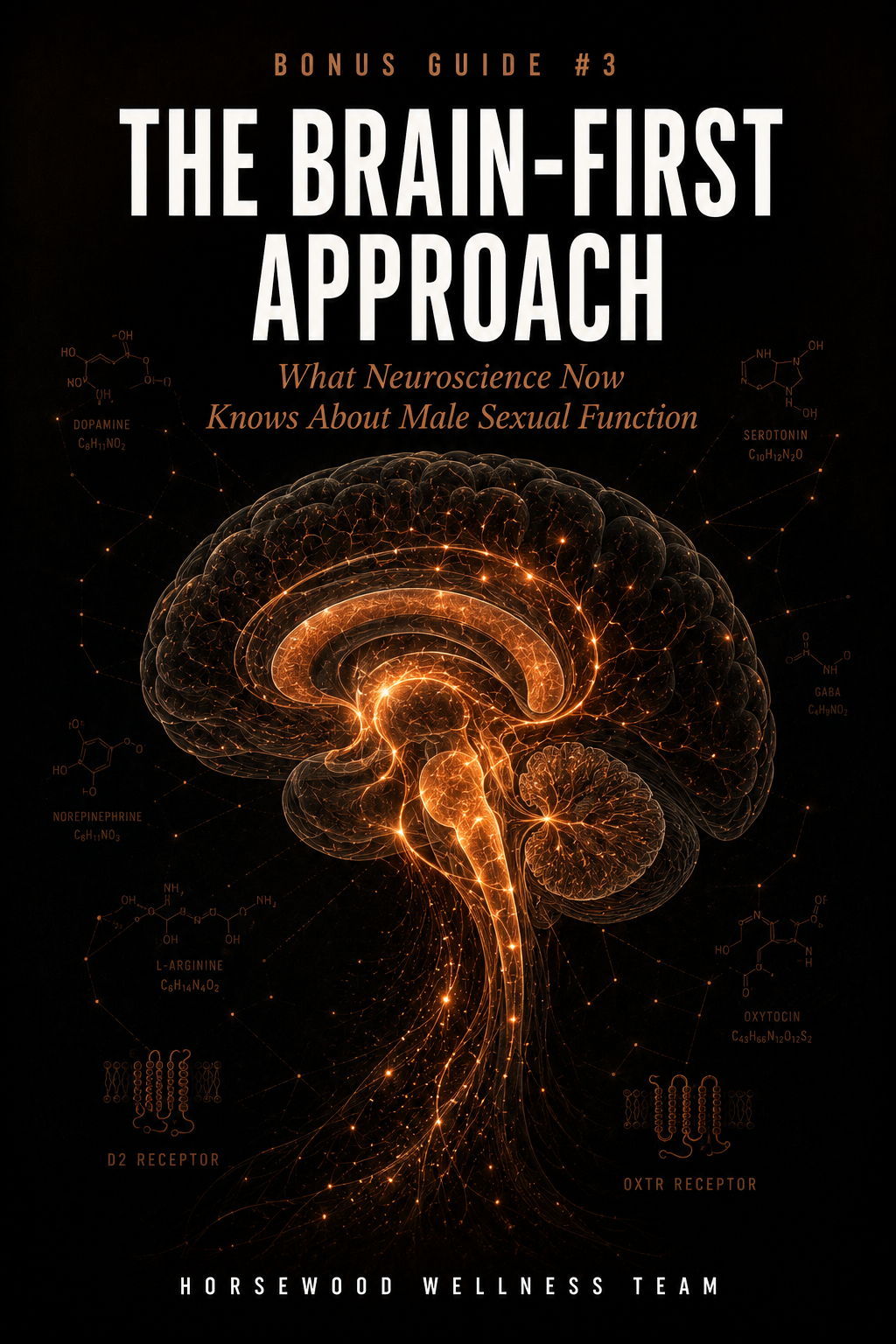 The Brain-First Approach — bonus ebook